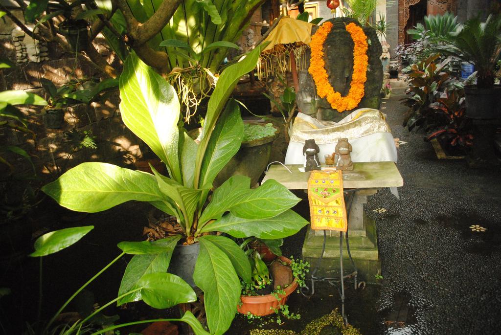 Jangkrik Homestay Ubud Eksteriør billede